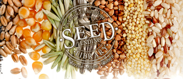 Image for event: Seed Swap