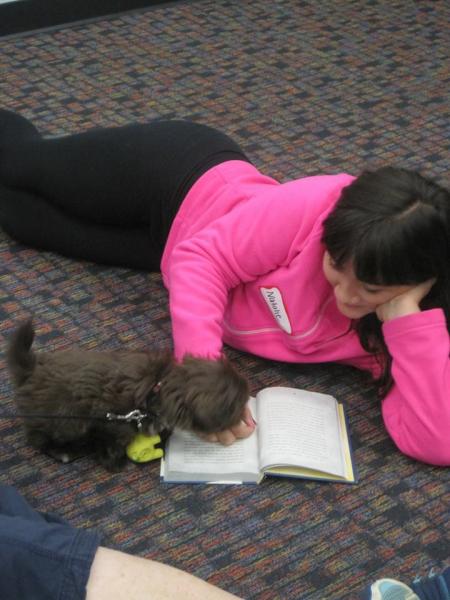 Image for event: Book Time With a Dog 