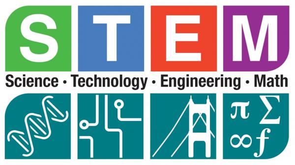 Image for event: STEM Saturday: Wiggle Bots